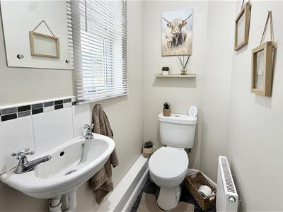 Picture 11